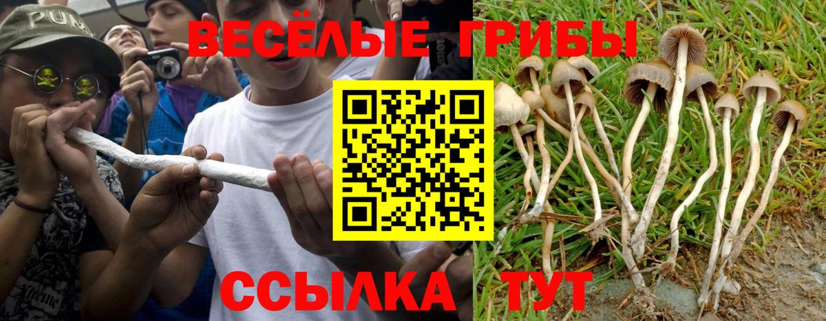 Галлюциногенные грибы прущие грибы Сибай
