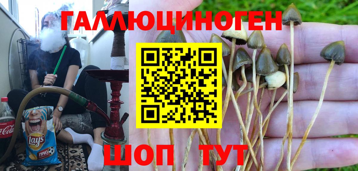 Галлюциногенные грибы Magic Shrooms  Вход с VPN  Сибай 